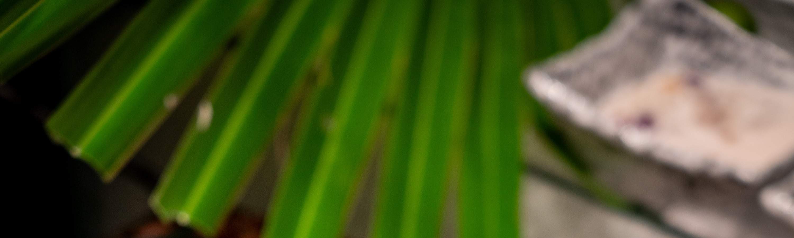 Promosi Makanan Makan Malam Prasmanan